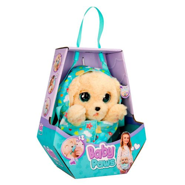 Baby Paws Labrador W2